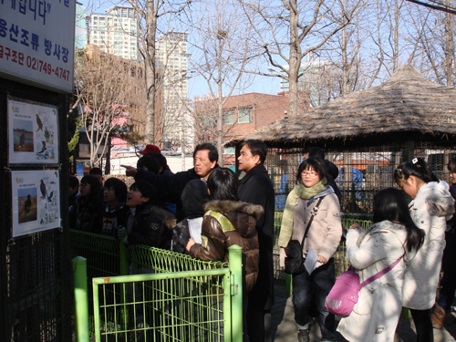 천연기념물 독수리 먹이주기 행사에 참여한 시민들