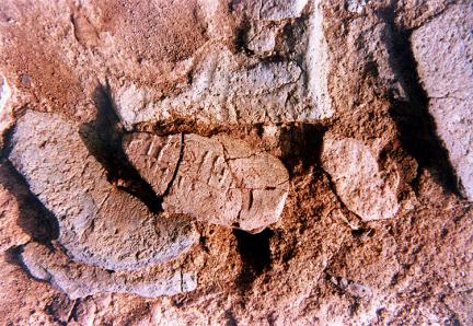 Tile with an inscription from the northeast conner of the fotress wall