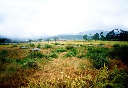 General View of Geumdangji Main Hall Site