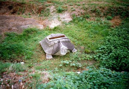 Turtle-Shap Pedestal