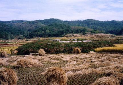 General view of Geumdang Hall site