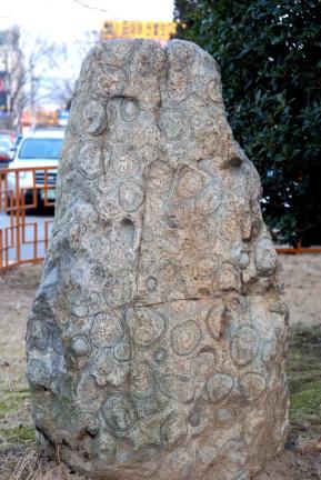 turtle granites in sangju