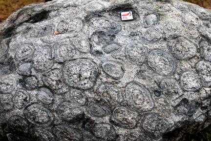 turtle granites in sangju