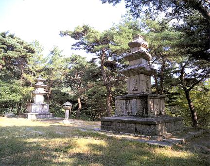 Three storied pagoda of a temple site in Wonwonsa , Gyeongju