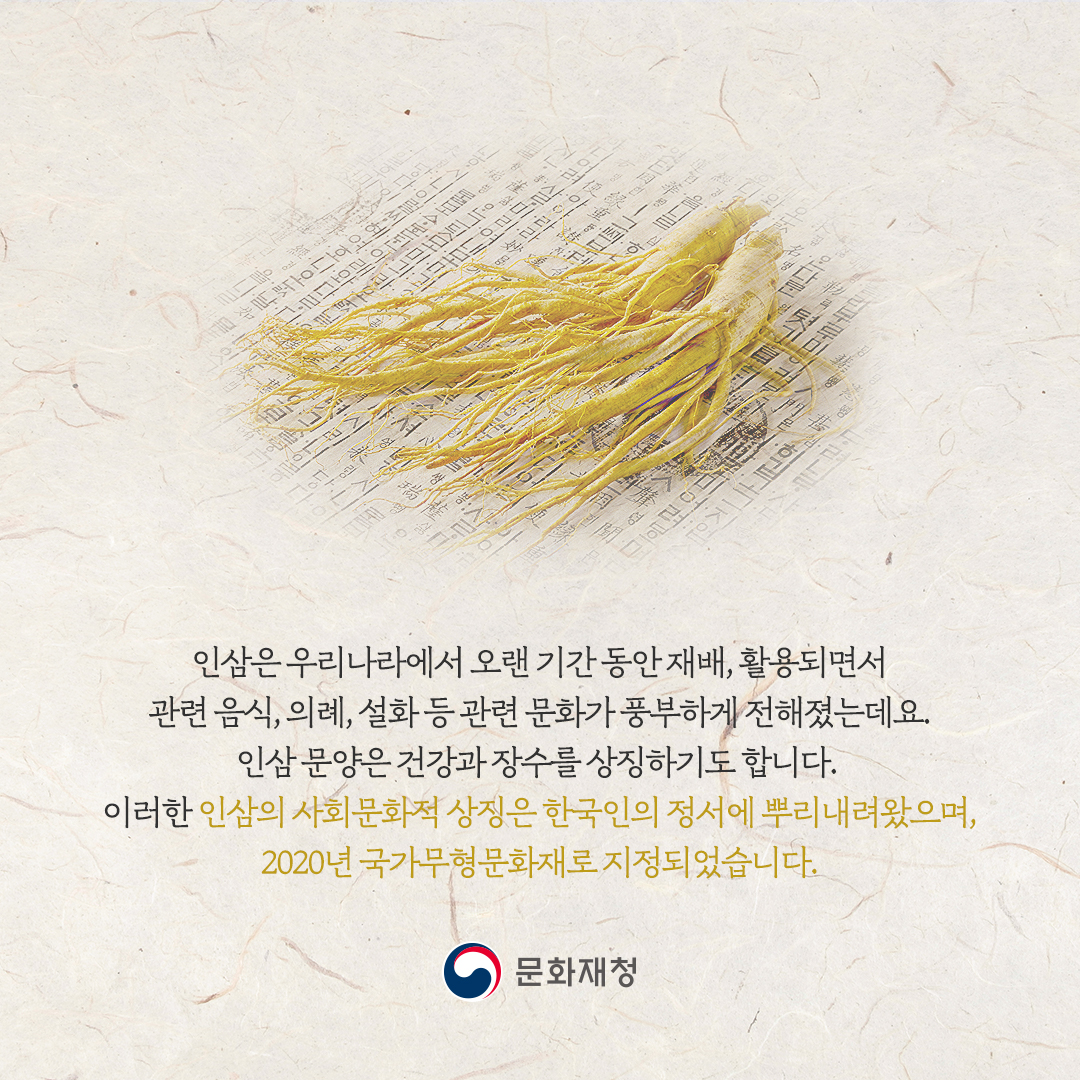 인삼 재배와 약용문화 카드뉴스 (4).jpg