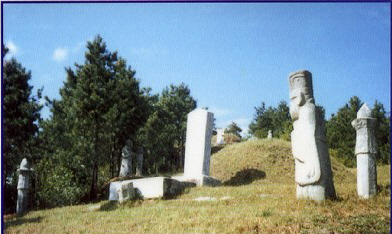 [도난] 파주 청원군 묘의 석조물 [문인석]이미지 1
