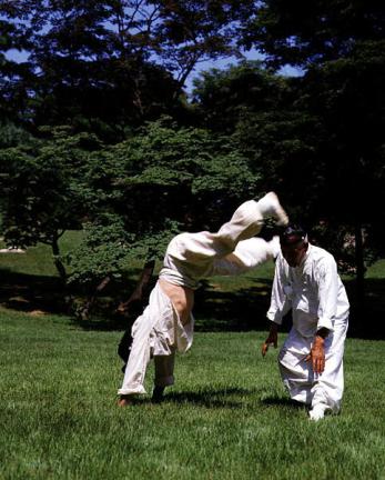 Taeggyeon martial art