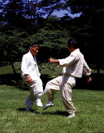 Taeggyeon martial art